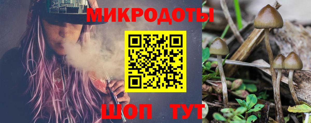 Псилоцибиновые грибы мицелий  Вход с VPN  Заречный  Псилоцибиновые грибы Magic Shrooms 